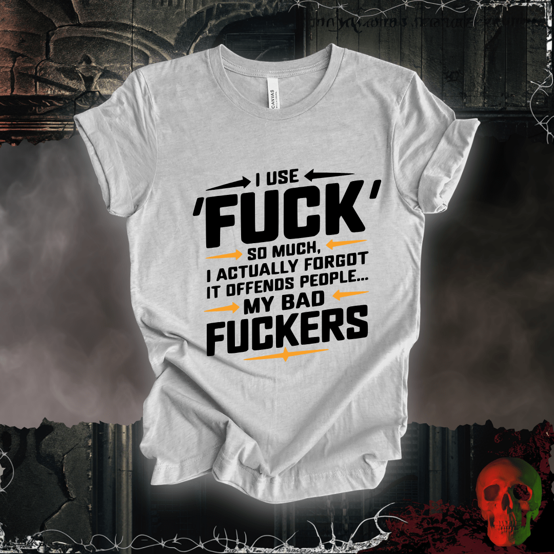 T-Shirt Athletic Heather / S Offensive Vocabulary Enthusiast T-Shirt