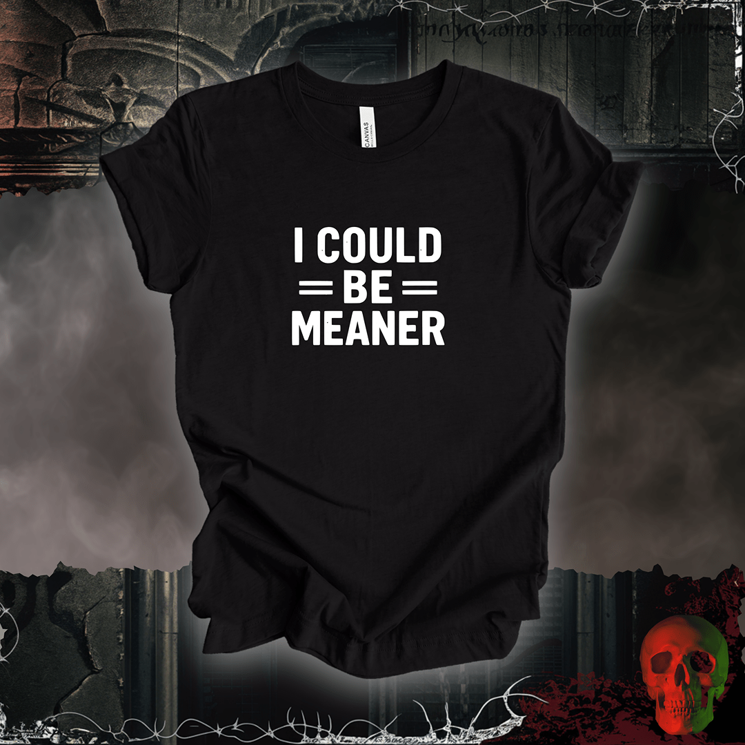 T-Shirt Black Heather / S I Could Be Meaner Tee