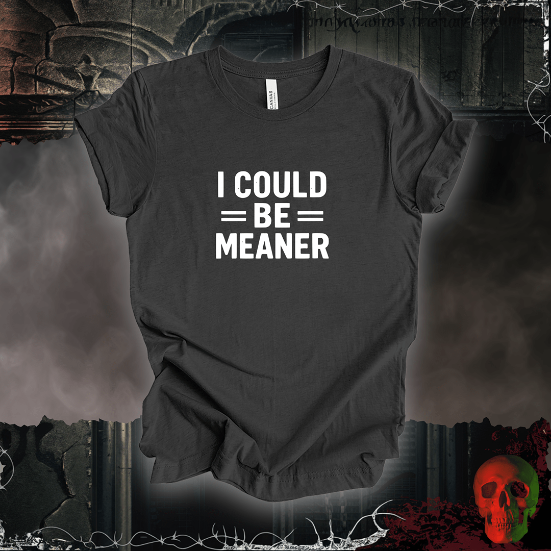 T-Shirt Dark Grey Heather / S I Could Be Meaner Tee