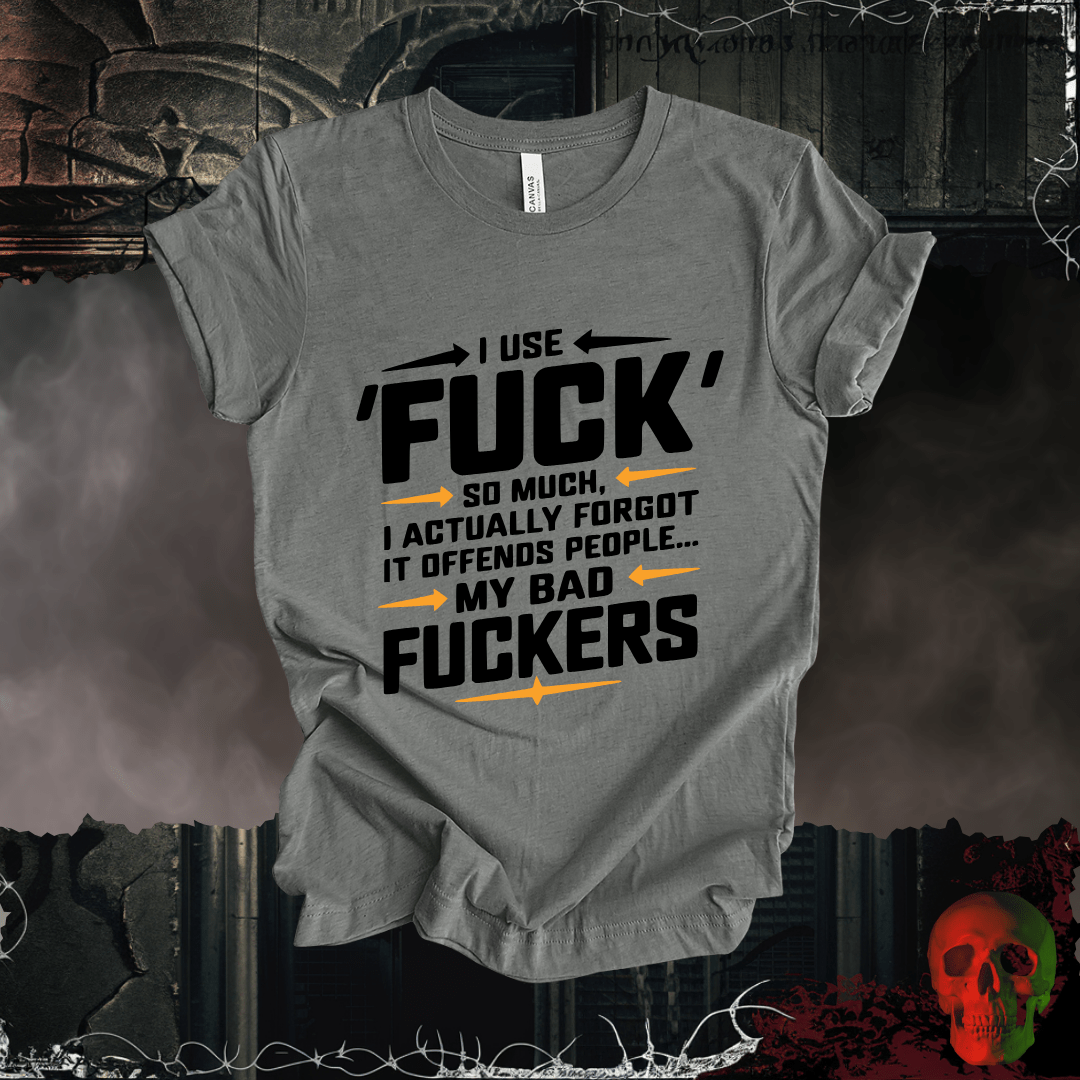 T-Shirt Deep Heather / S Offensive Vocabulary Enthusiast T-Shirt