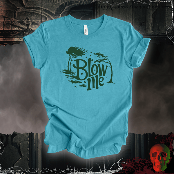 T-Shirt Heather Aqua / S Blow Me T-Shirt