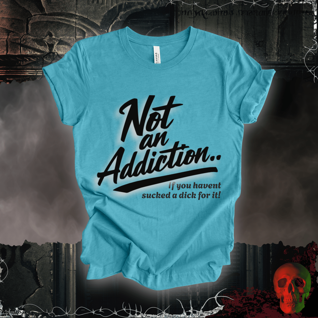 T-Shirt Heather Aqua / S Not an Addiction / D*ck T-Shirt