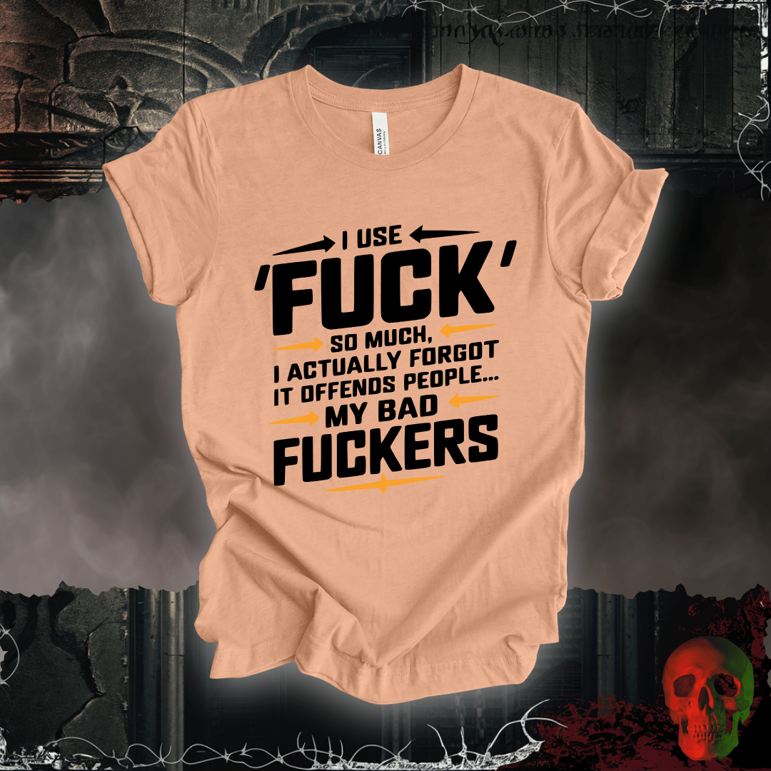 T-Shirt Heather Peach / S Offensive Vocabulary Enthusiast T-Shirt