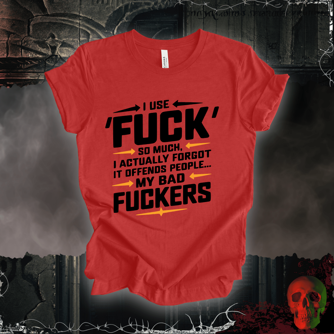 T-Shirt Heather Red / S Offensive Vocabulary Enthusiast T-Shirt