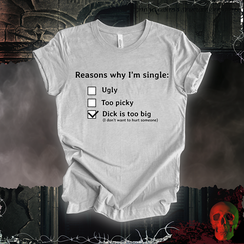 Reasons I am Single T-Shirt