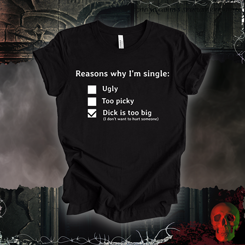 Reasons I am Single T-Shirt