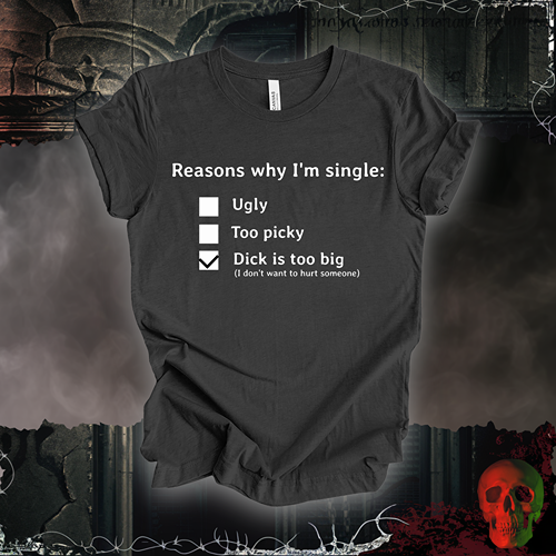 Reasons I am Single T-Shirt