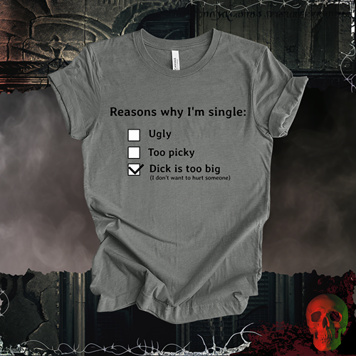 Reasons I am Single T-Shirt