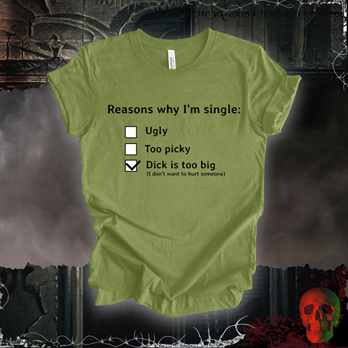 Reasons I am Single T-Shirt