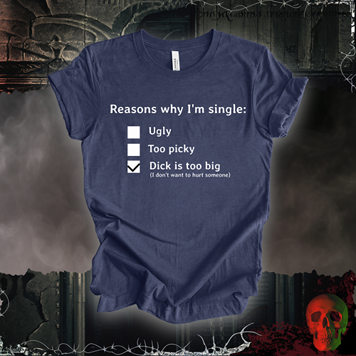 Reasons I am Single T-Shirt