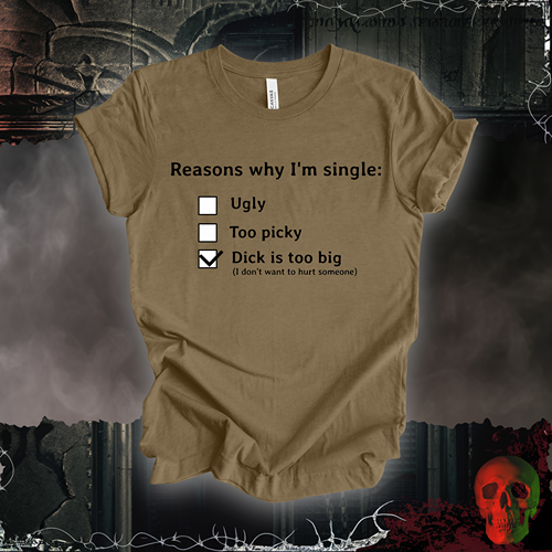 Reasons I am Single T-Shirt