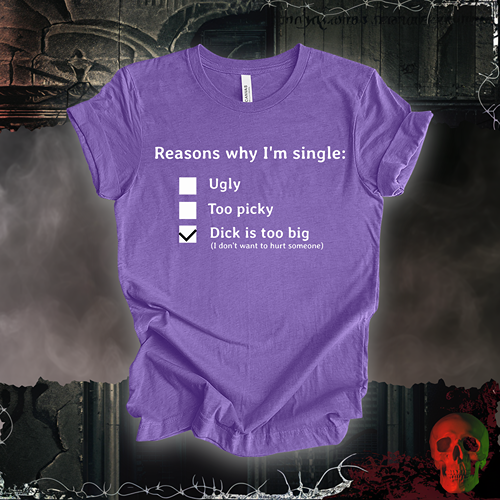 Reasons I am Single T-Shirt