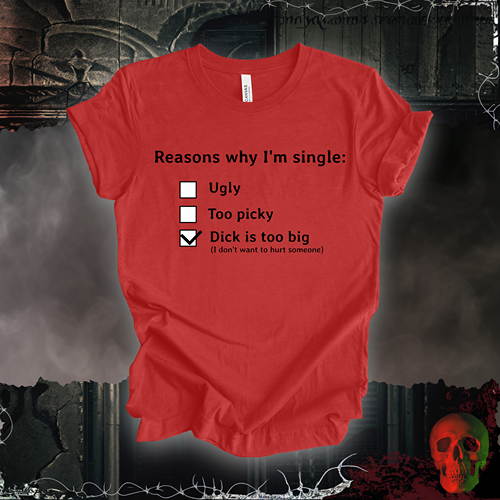 Reasons I am Single T-Shirt