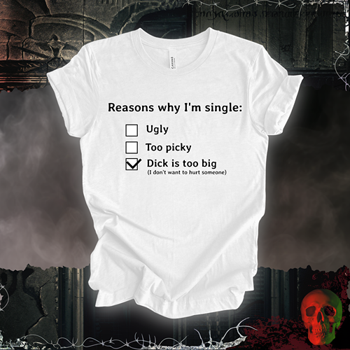 Reasons I am Single T-Shirt