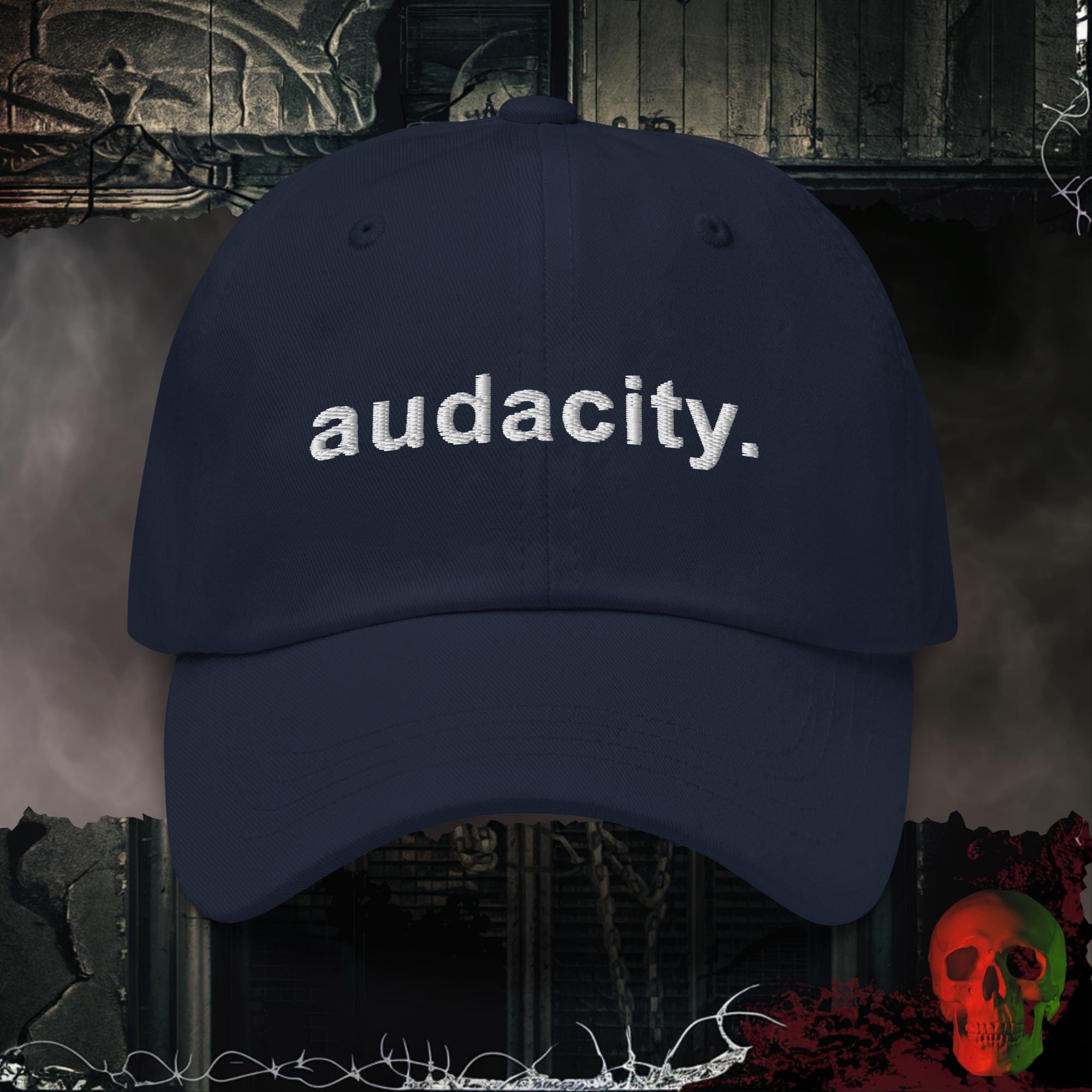 Hats Navy audacity. Embroidered Hat