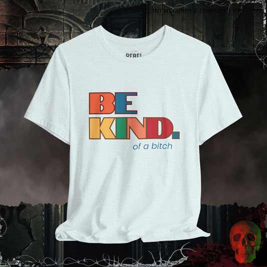 T-Shirt Heather Ice Blue / S Be Kind of a Bitch Tee