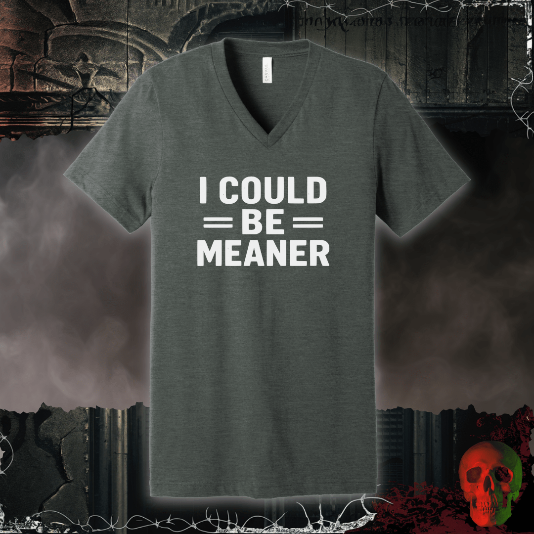 V-neck S / Deep Heather I Could Be Meaner V-Neck Tee